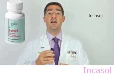 Sitio Web Oficial De Incasol